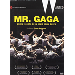 Mr. Gaga  [Dvd Nuovo]