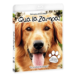 Qua La Zampa! [Blu-Ray Nuovo]