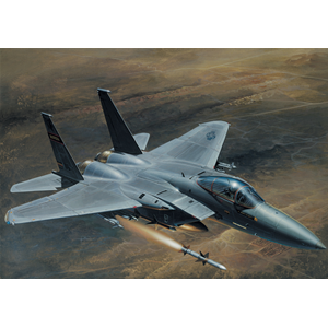 F 15 C EAGLE KIT 1:48 Italeri Kit Aerei Modellino