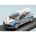 PEUGEOT 207 S2000 N.5 WINNER TOUR D.CORSE 2013 B.BOUFFIER-X.PANSERI 1:43 Whitebox Auto Rally Modellino