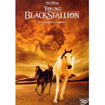 Young Black Stallion [Dvd Usato]
