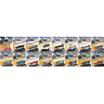 FAST & FURIOUS CAR SERIE COMPLETA DA 16 Modellini 1:55 Hot Wheels Movie Modellino