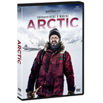 Arctic  [Dvd Nuovo]  