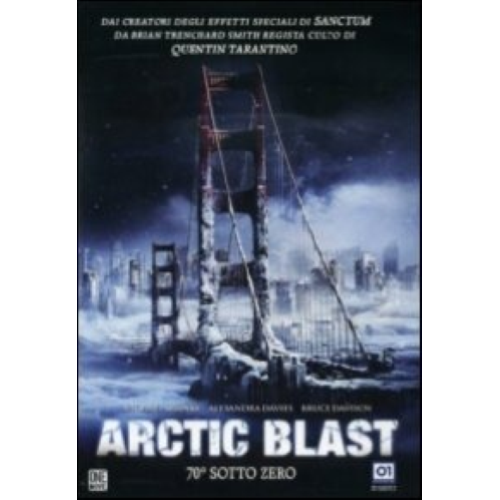 Arctic Blast [Dvd Usato]