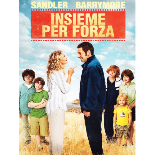 Insieme Per Forza  [DVD Usato]