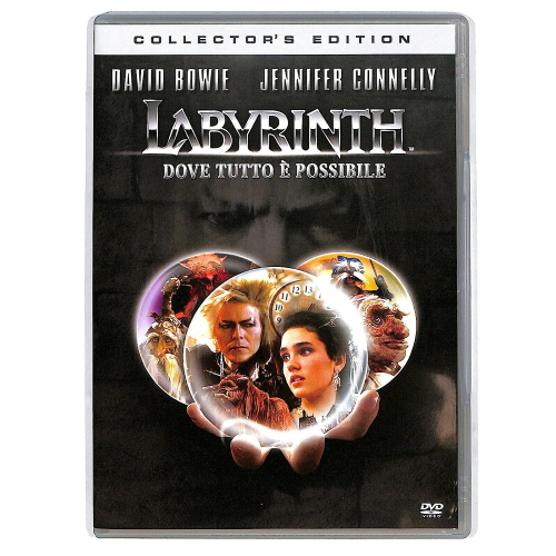 Labyrinth [Dvd Usato]