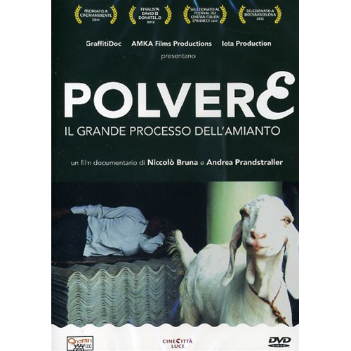 Polvere - Il Grande Processo Dell'Amianto [Dvd Usato]