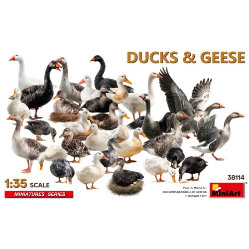 DUCKS & GEESE KIT 1:35 Miniart Kit Diorami Modellino