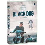 BLACK DOG