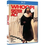 SISTER ACT - UNA SVITATA IN ABITO DA SUORA