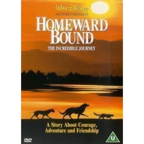 HOMEWARD BOUND: THE INCREDIBLE JOURNEY / IN FUGA A QUATTRO ZAMPE