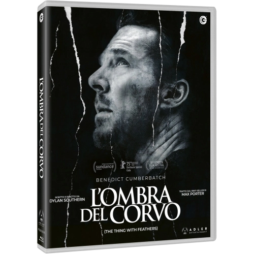 OMBRA DEL CORVO (L')