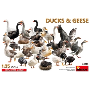 DUCKS & GEESE KIT 1:35 Miniart Kit Diorami Modellino